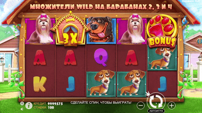 Basic gameplay