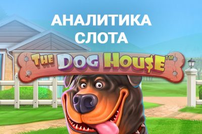 The Dog House slot analytics
